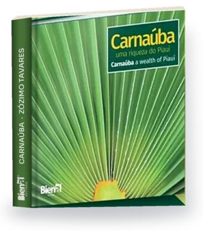 Carnaúba, uma riqueza do Piauí