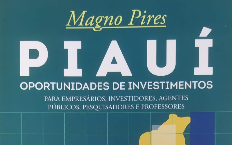 O novo livro de Magno Pires/Imagem: Bienal.